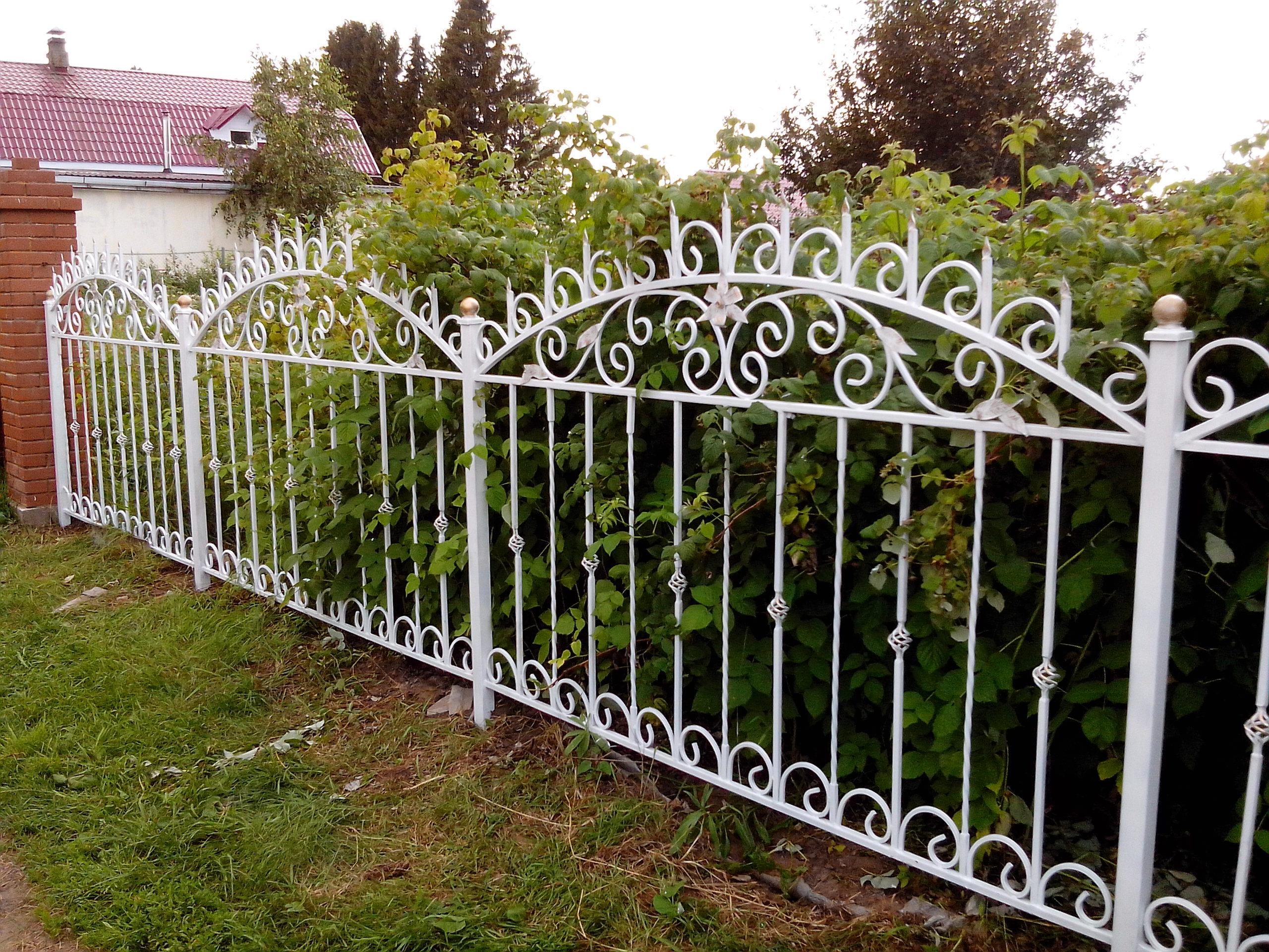 Забор для палисадника из металла. Кованый забор. Кованый забор для палисадника. Металлическая изгородь для палисадника.